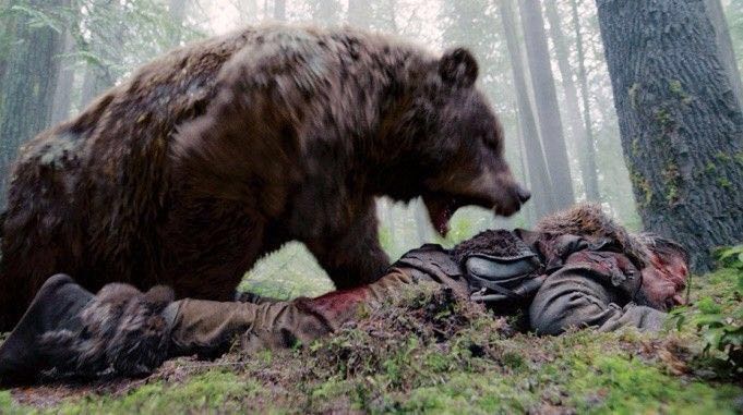 灰熊人死时有多惨