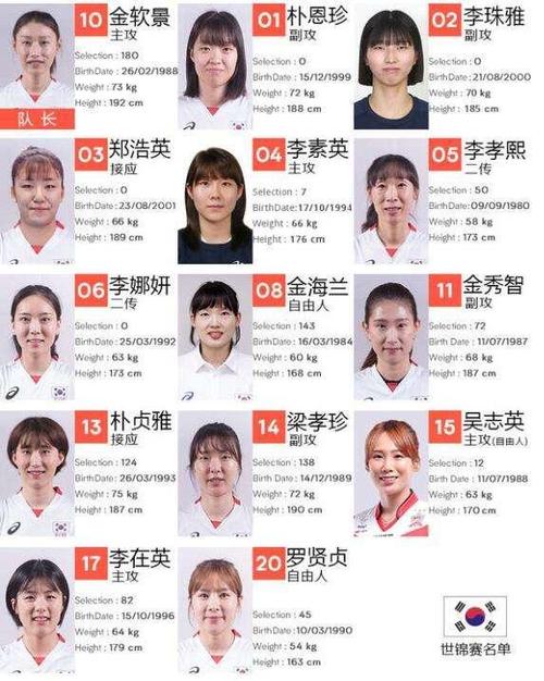 韩国女篮名单照片